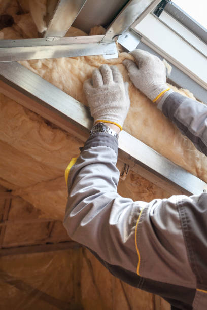 Types of Insulation We Offer in Monrovia, MD